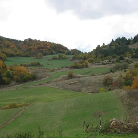 Slavica Holiday home *